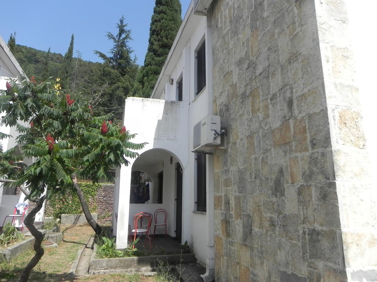 Holiday Park Vile Park Budva Exteriör bild